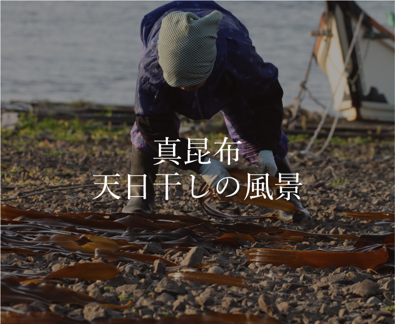 昆布