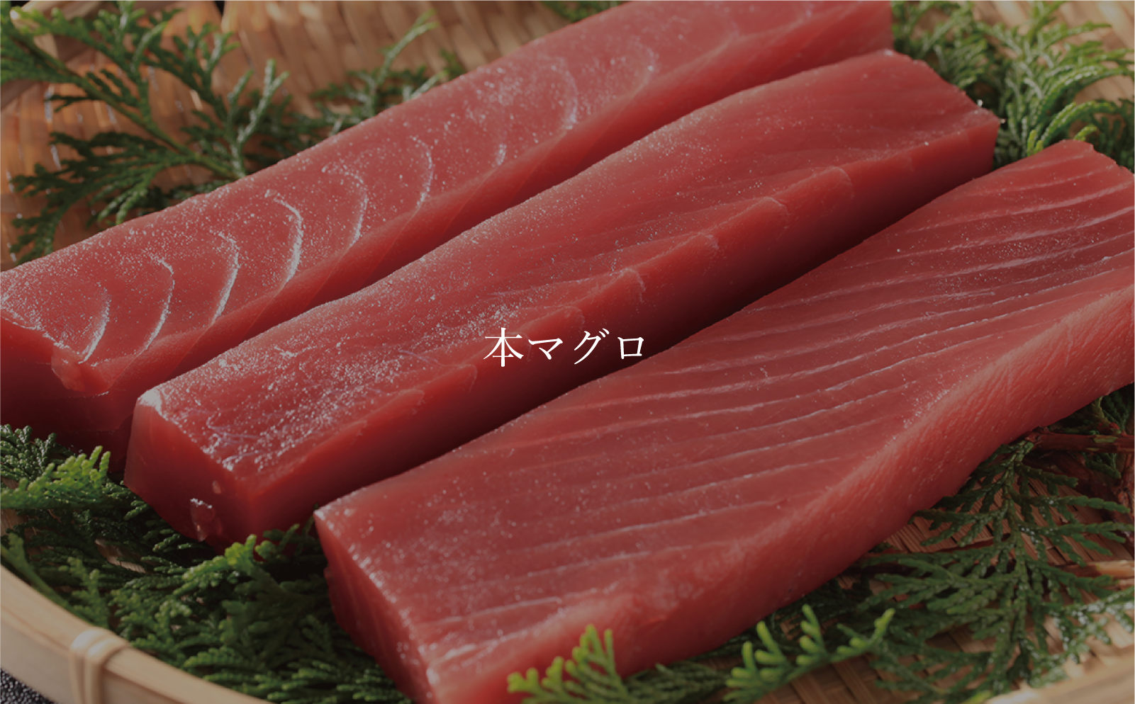 本マグロ