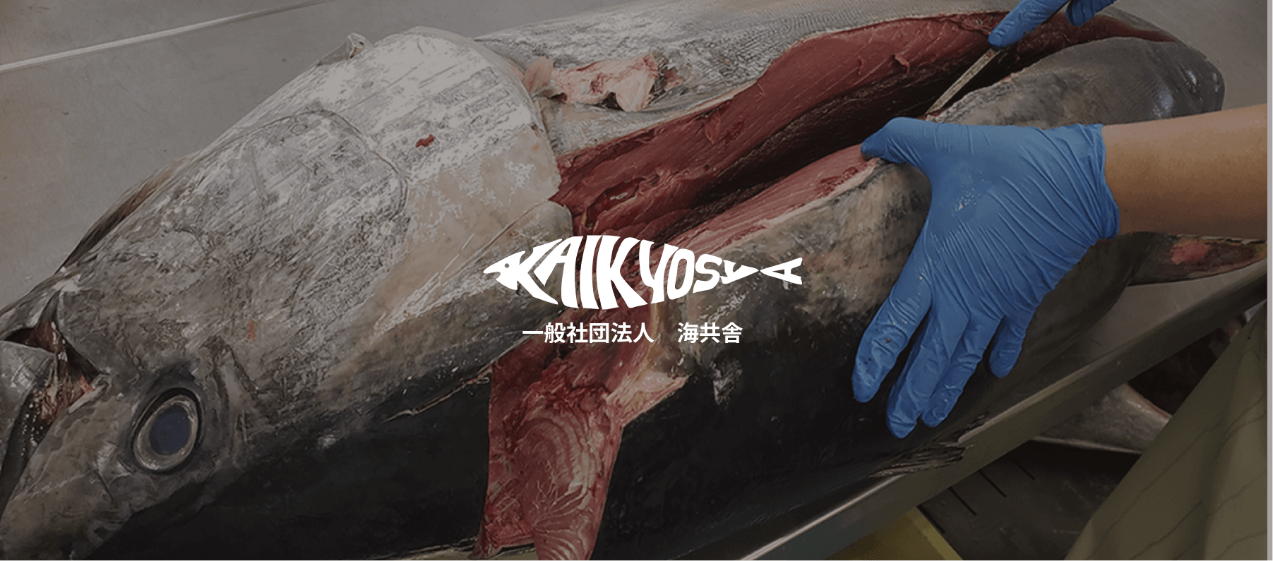海共舎から見える景色